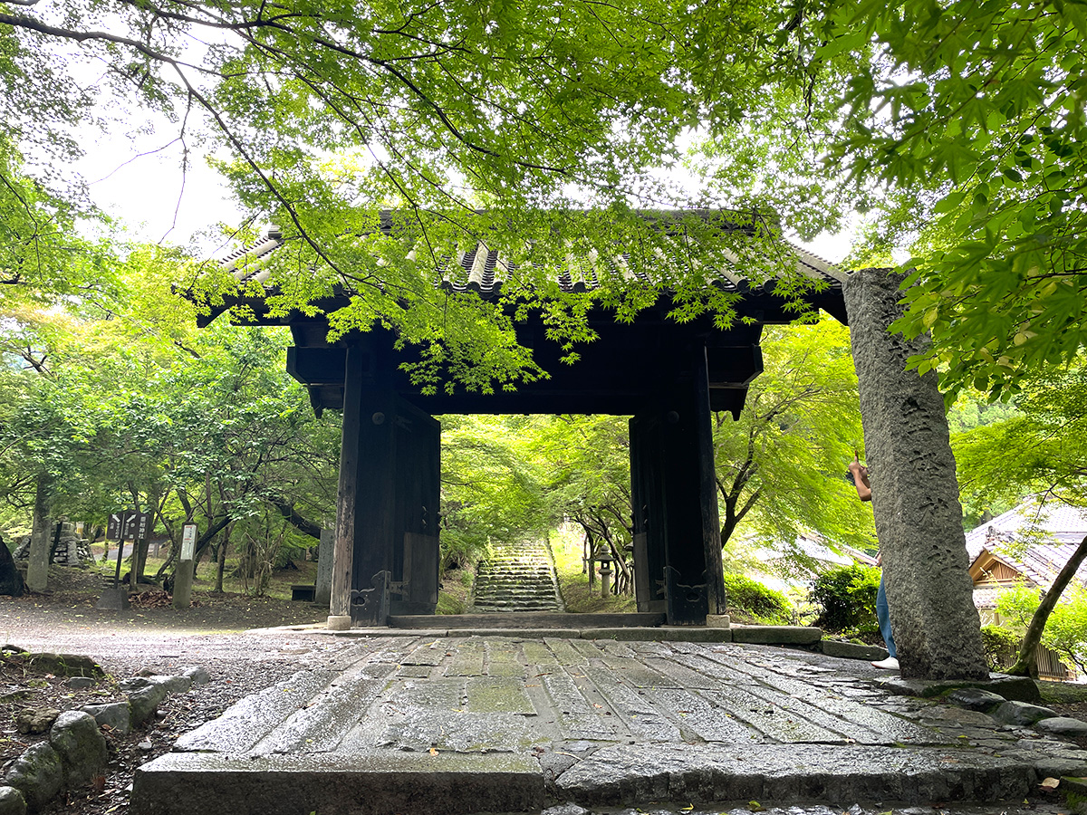 【秋月】筑前の小京都 秋月のおすすめ観光と見どころを紹介